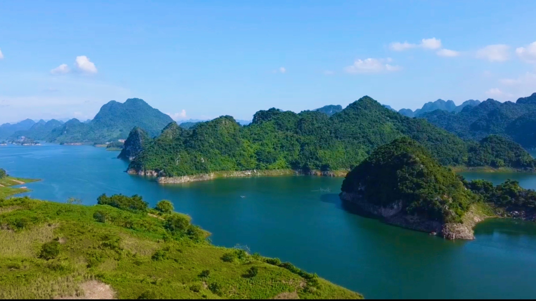 vinh-ngoi-hoa-2 - Copy